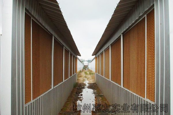 濕簾紙
